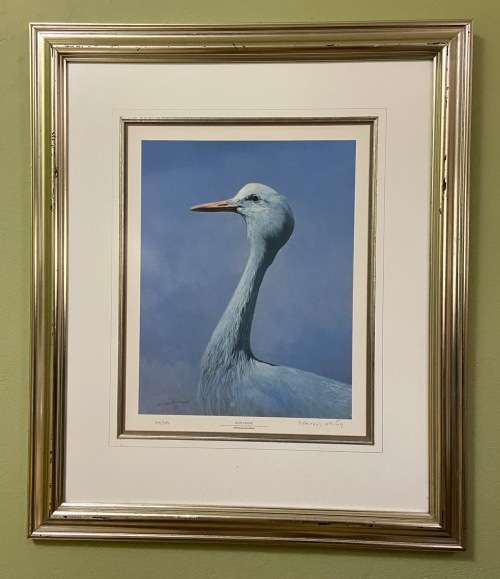 AWESOME BLUE CRANE 1993 SIGNED LIMITED EDITION PRINT 275/350 RAY HARRIS-CHING NEW ZEALAND ARTIST