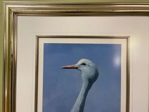 AWESOME BLUE CRANE 1993 SIGNED LIMITED EDITION PRINT 275/350 RAY HARRIS-CHING NEW ZEALAND ARTIST
