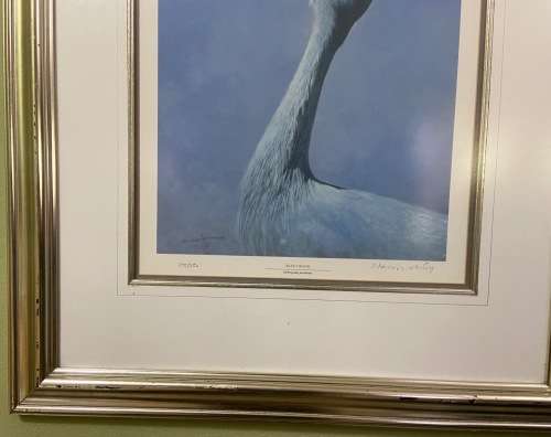 AWESOME BLUE CRANE 1993 SIGNED LIMITED EDITION PRINT 275/350 RAY HARRIS-CHING NEW ZEALAND ARTIST