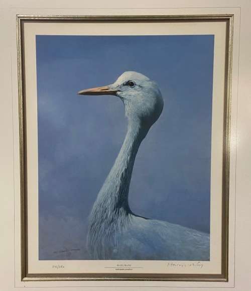 AWESOME BLUE CRANE 1993 SIGNED LIMITED EDITION PRINT 275/350 RAY HARRIS-CHING NEW ZEALAND ARTIST