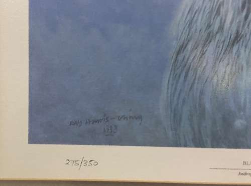 AWESOME BLUE CRANE 1993 SIGNED LIMITED EDITION PRINT 275/350 RAY HARRIS-CHING NEW ZEALAND ARTIST