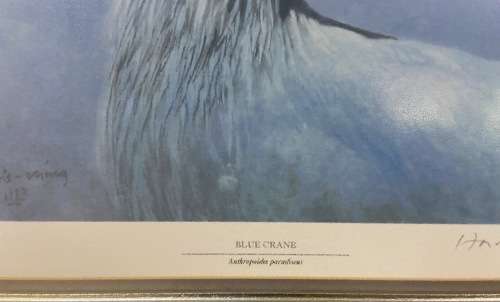 AWESOME BLUE CRANE 1993 SIGNED LIMITED EDITION PRINT 275/350 RAY HARRIS-CHING NEW ZEALAND ARTIST
