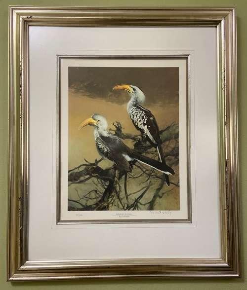 AWESOME REDBILLED HORNBILLS SIGNED LIMITED EDITION PRINT 287/350 RAY HARRIS-CHING NEW ZEALAND ARTIST