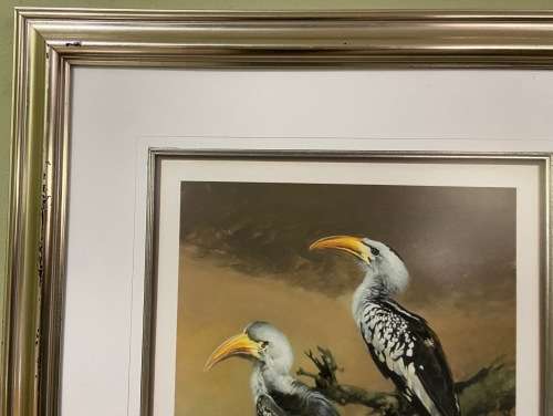 AWESOME REDBILLED HORNBILLS SIGNED LIMITED EDITION PRINT 287/350 RAY HARRIS-CHING NEW ZEALAND ARTIST