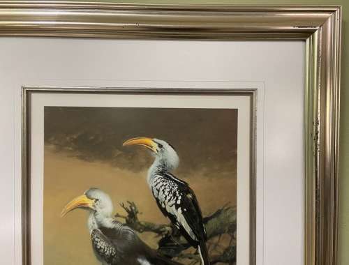 AWESOME REDBILLED HORNBILLS SIGNED LIMITED EDITION PRINT 287/350 RAY HARRIS-CHING NEW ZEALAND ARTIST