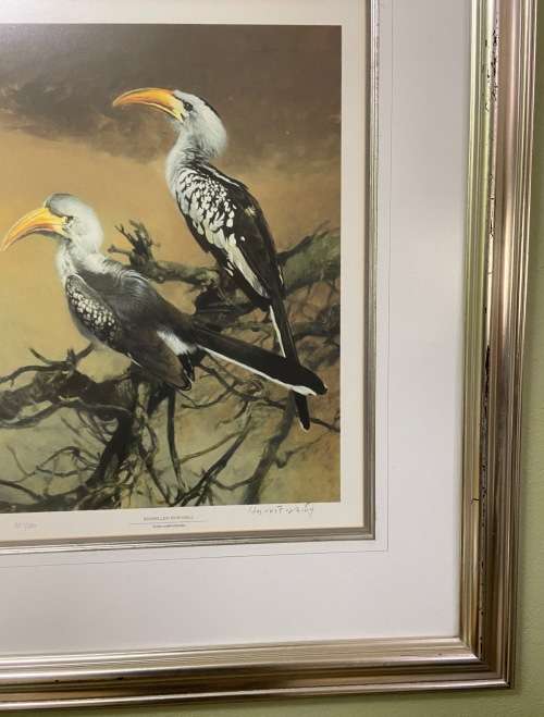 AWESOME REDBILLED HORNBILLS SIGNED LIMITED EDITION PRINT 287/350 RAY HARRIS-CHING NEW ZEALAND ARTIST