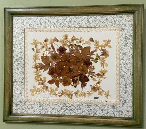 PRESSED DRIED FLOWER ARTWORK LARGE YVONNE LINDSAY 1993 BIGGIE BEST STYLE FRAME! STUNNING!! BUTTERFLY
