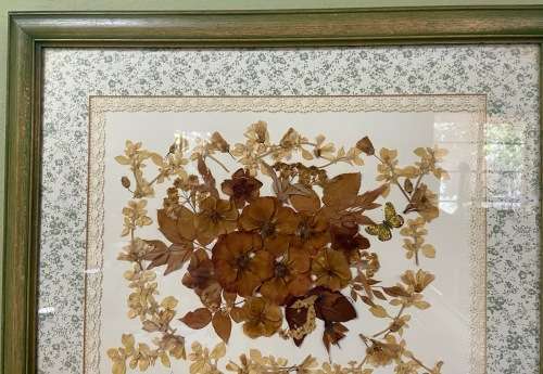 PRESSED DRIED FLOWER ARTWORK LARGE YVONNE LINDSAY 1993 BIGGIE BEST STYLE FRAME! STUNNING!! BUTTERFLY