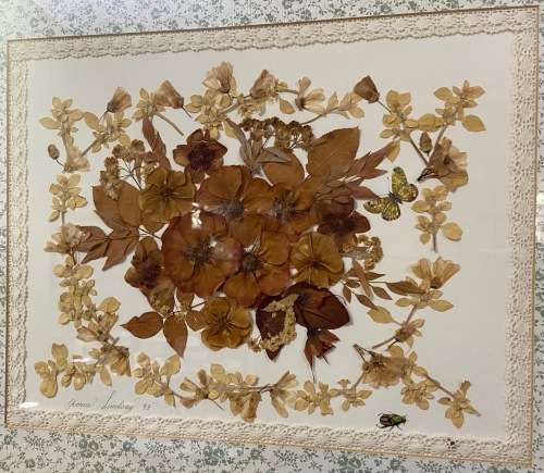 PRESSED DRIED FLOWER ARTWORK LARGE YVONNE LINDSAY 1993 BIGGIE BEST STYLE FRAME! STUNNING!! BUTTERFLY