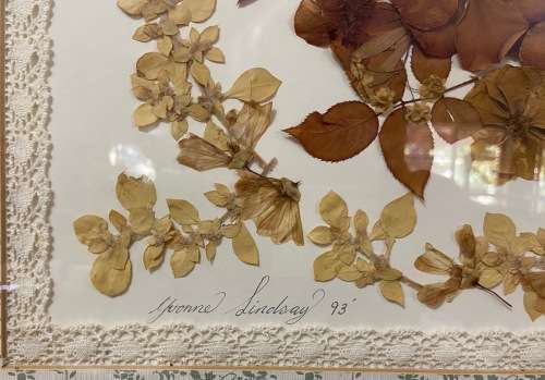 PRESSED DRIED FLOWER ARTWORK LARGE YVONNE LINDSAY 1993 BIGGIE BEST STYLE FRAME! STUNNING!! BUTTERFLY