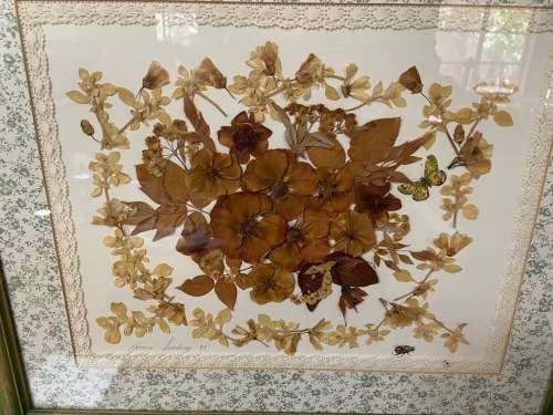 PRESSED DRIED FLOWER ARTWORK LARGE YVONNE LINDSAY 1993 BIGGIE BEST STYLE FRAME! STUNNING!! BUTTERFLY