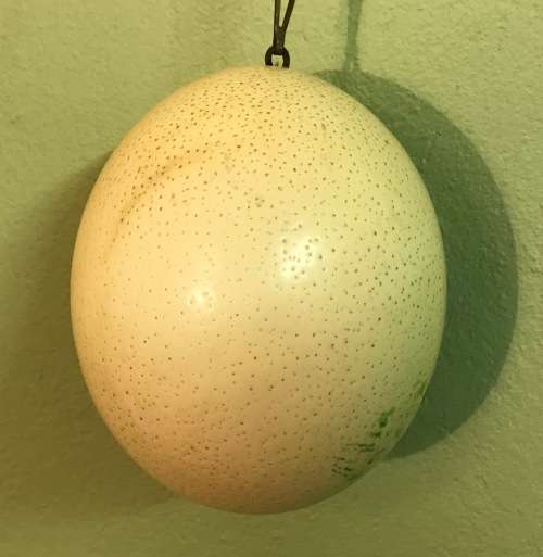 OSTRICH EGG PAINTED with a HANGING CHAIN.