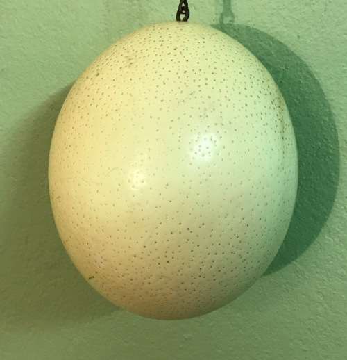OSTRICH EGG PAINTED with a HANGING CHAIN.