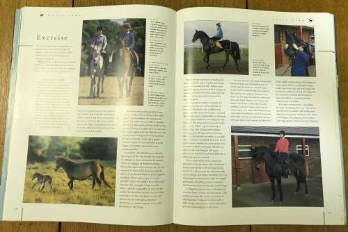 HORSE BOOK COMPLETE HORSE CARE (& PONIES) JUDITH DRAPER 2003 Comprehensive guide to looking after...