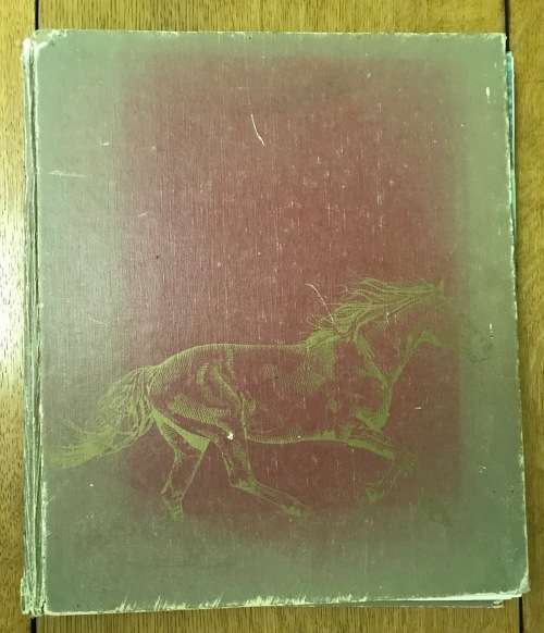THE COMPLETE BOOK OF THE HORSE General Editor CAROL FOSTER Ist EDITION 1983 OCTOPUS BOOKS GB