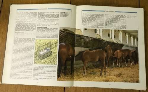 THE COMPLETE BOOK OF THE HORSE General Editor CAROL FOSTER Ist EDITION 1983 OCTOPUS BOOKS GB