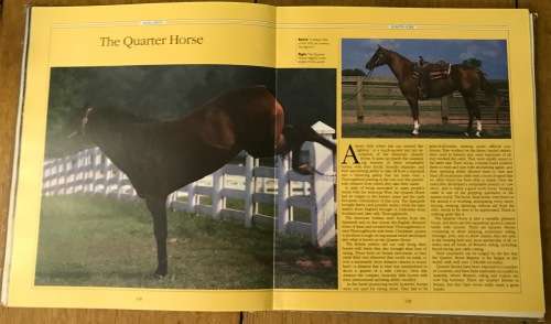 THE COMPLETE BOOK OF THE HORSE General Editor CAROL FOSTER Ist EDITION 1983 OCTOPUS BOOKS GB
