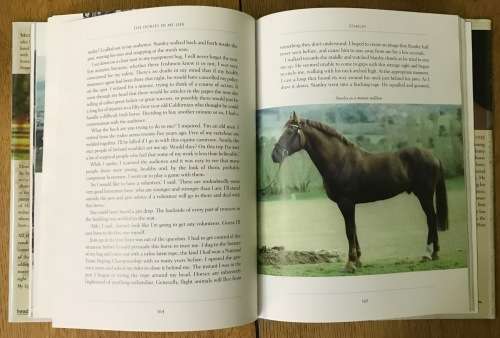 MONTY ROBERTS THE HORSES IN MY LIFE 1st Edition 2004 `The man who listens to Horses` author.