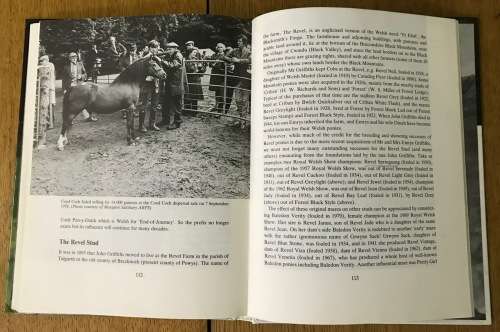 THE WELSH MOUNTAIN PONY - WYNNE DAVIES - 1st Edition 1993.