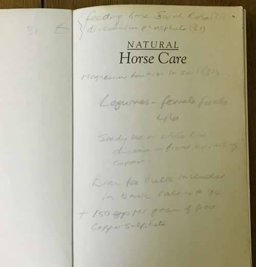 NATURAL HORSE CARE - PAT COLEBY - 2003.