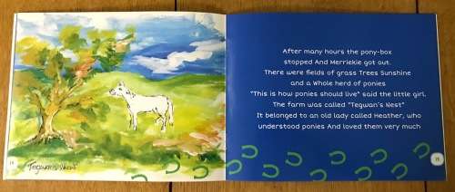 MERRIKIE A TRUE STORY ROSE GORDON 2017 SOFTCOVER SOUTH AFRICAN BOOK about a Pony & a Little Girl.