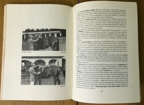 YOU & YOUR HORSE GEORGE IWANOWSKI FIRST EDITION 1987 SHUTER & SHOOTER SOFTCOVER kyalami