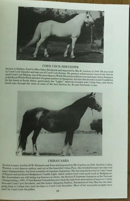 THE SOUTH AFRICAN WELSH PONY & COB STUD BOOK VOL 2 1991 MARES STALLIONS GELDINGS 1983-90 & 1950-90.
