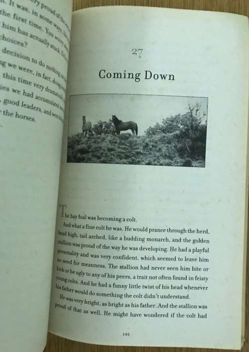 WHISPERING BACK (HORSES) NICOLE GOLDING& ADAM GOODFELLOW INTRODUCTION by MONTY ROBERTS 2004