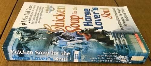 CHICKEN SOUP for the HORSE LOVER`S SOUL 2004 JACK CANFIELD MARK VICTOR HANSEN MARTY BECKER