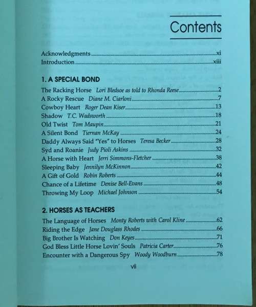 CHICKEN SOUP for the HORSE LOVER`S SOUL 2004 JACK CANFIELD MARK VICTOR HANSEN MARTY BECKER