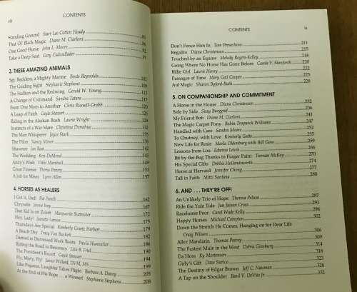 CHICKEN SOUP for the HORSE LOVER`S SOUL 2004 JACK CANFIELD MARK VICTOR HANSEN MARTY BECKER