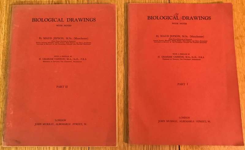BIOLOGICAL DRAWINGS, WITH NOTES PARTS I & II - Maud Jepson, M.Sc. BOTANY & ZOOLOGY 1956/7 5TH ed.