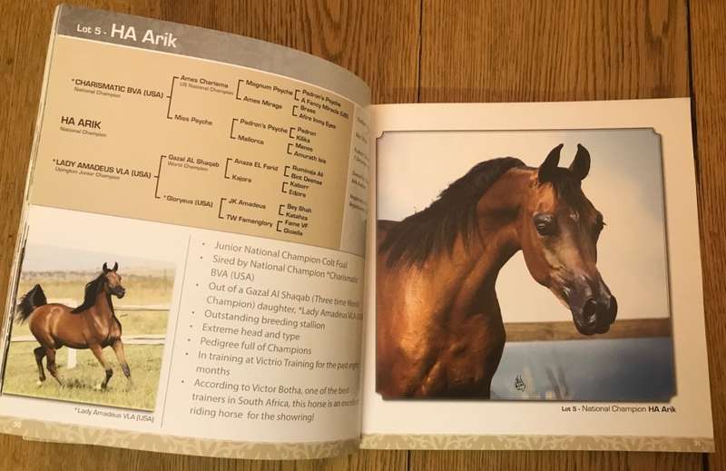 ARABIAN STARS of AFRICA - Prestige Auction - September 2015 - Catalogue