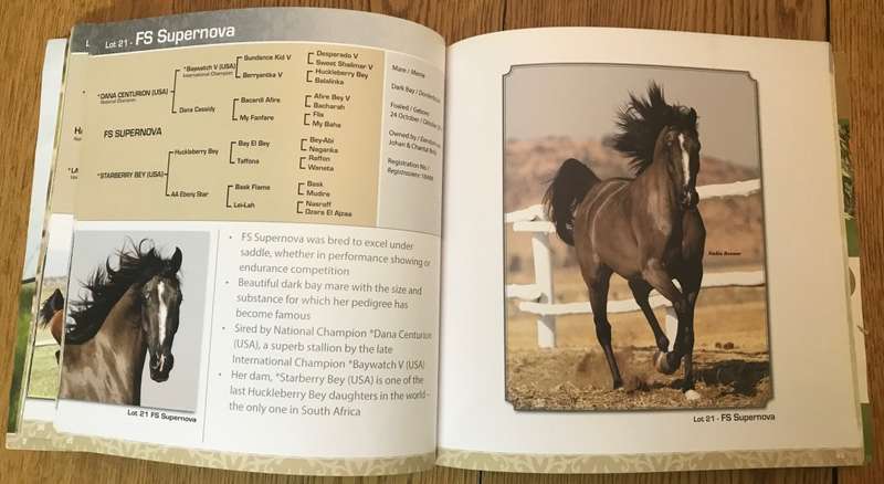 ARABIAN STARS of AFRICA - Prestige Auction - September 2015 - Catalogue