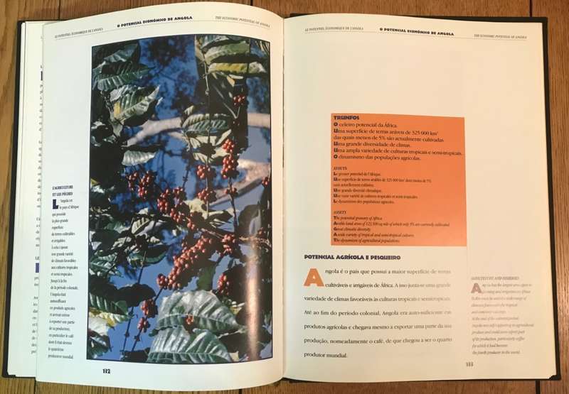 ANGOLA - THE FUTURE BEGINS NOW - Illustrated by Jean Pailler - 2000 - Editions Hervas - dos Santos