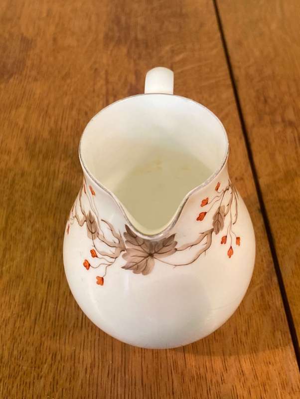 Wedgwood Autumn Coffee Set 18 Piece Trios Demitasse Expresso