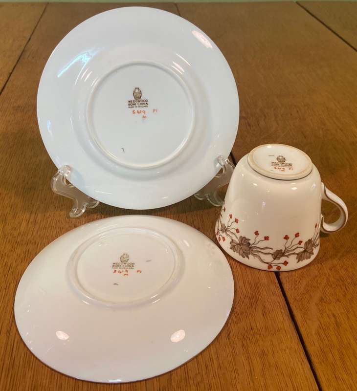 Wedgwood Autumn Coffee Set 18 Piece Trios Demitasse Expresso