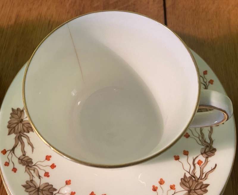 Wedgwood Autumn Coffee Set 18 Piece Trios Demitasse Expresso