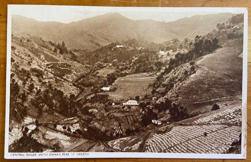 POSTCARDS POST CARDS x 3 - St. HELENA SEPIA "PHARMACY" "JACOBS LADDER" JAMESTOWN DIANA'S PEAK scarce