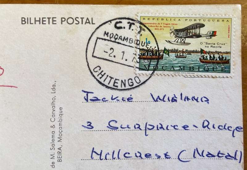 POSTCARD POST CARD - GOGONGOSA NATIONAL PARK MOZAMBIQUE ELEPHANT LION KILL GUINEA FOWL BUFFALO