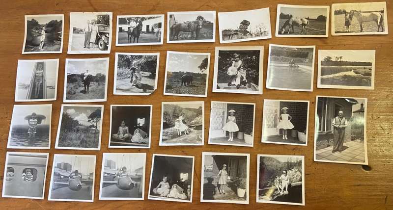 PHOTOGRAPHS x 27 - BLACK and WHITE - MINIATURE / SMALL - UNKNOWN - HORSES - ELEPHANT - VINTAGE CAR.