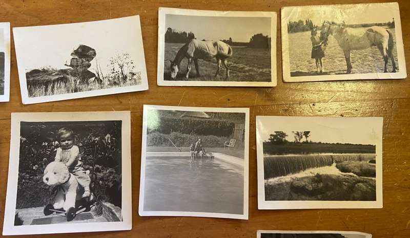 PHOTOGRAPHS x 27 - BLACK and WHITE - MINIATURE / SMALL - UNKNOWN - HORSES - ELEPHANT - VINTAGE CAR.