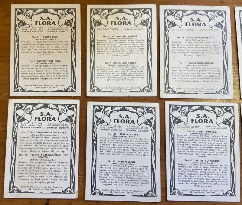 CIGARETTE CARDS x 12 - S.A. FLORA- SPRINGBOK - UNITED TOBACCO CO.- FLOWERS - PROTEAS - ERICA - TULIP