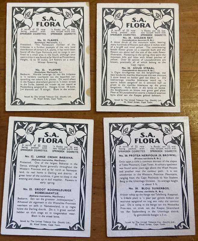CIGARETTE CARDS x 12 - S.A. FLORA- SPRINGBOK - UNITED TOBACCO CO.- FLOWERS - PROTEAS - ERICA - TULIP