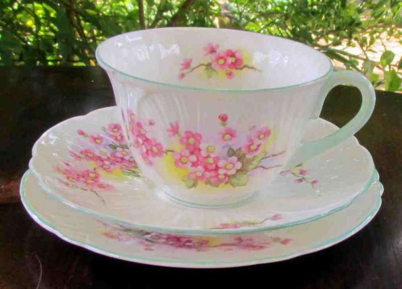 SHELLEY TRIO=Beautiful Blossom Pattern & OLEANDER Shape=c.1945-66=Stunning Floral/Flower Trio!!!