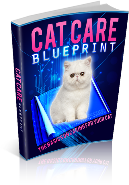 *J* Cat Care Blueprint - Ebook