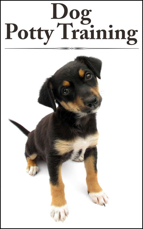 *J* Dog Potty Training - Ebook