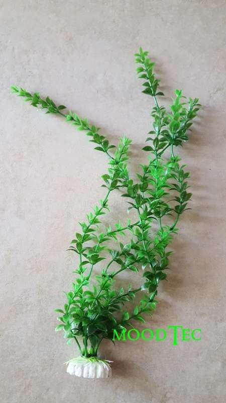 Artificial Plastic Fish Tank Plant - Aquarium Decor (In Stock)
