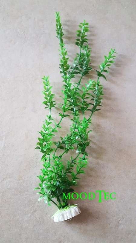 Artificial Plastic Fish Tank Plant - Aquarium Decor (In Stock)