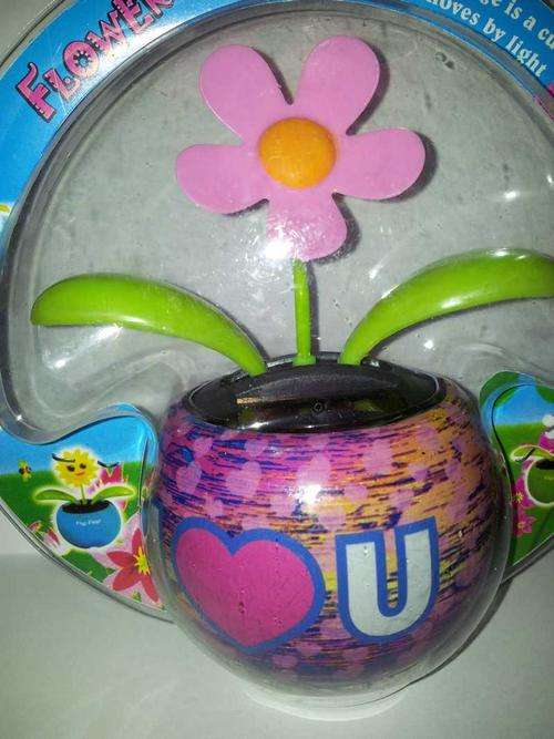 Solar Powered Flower Pot (In Stock)